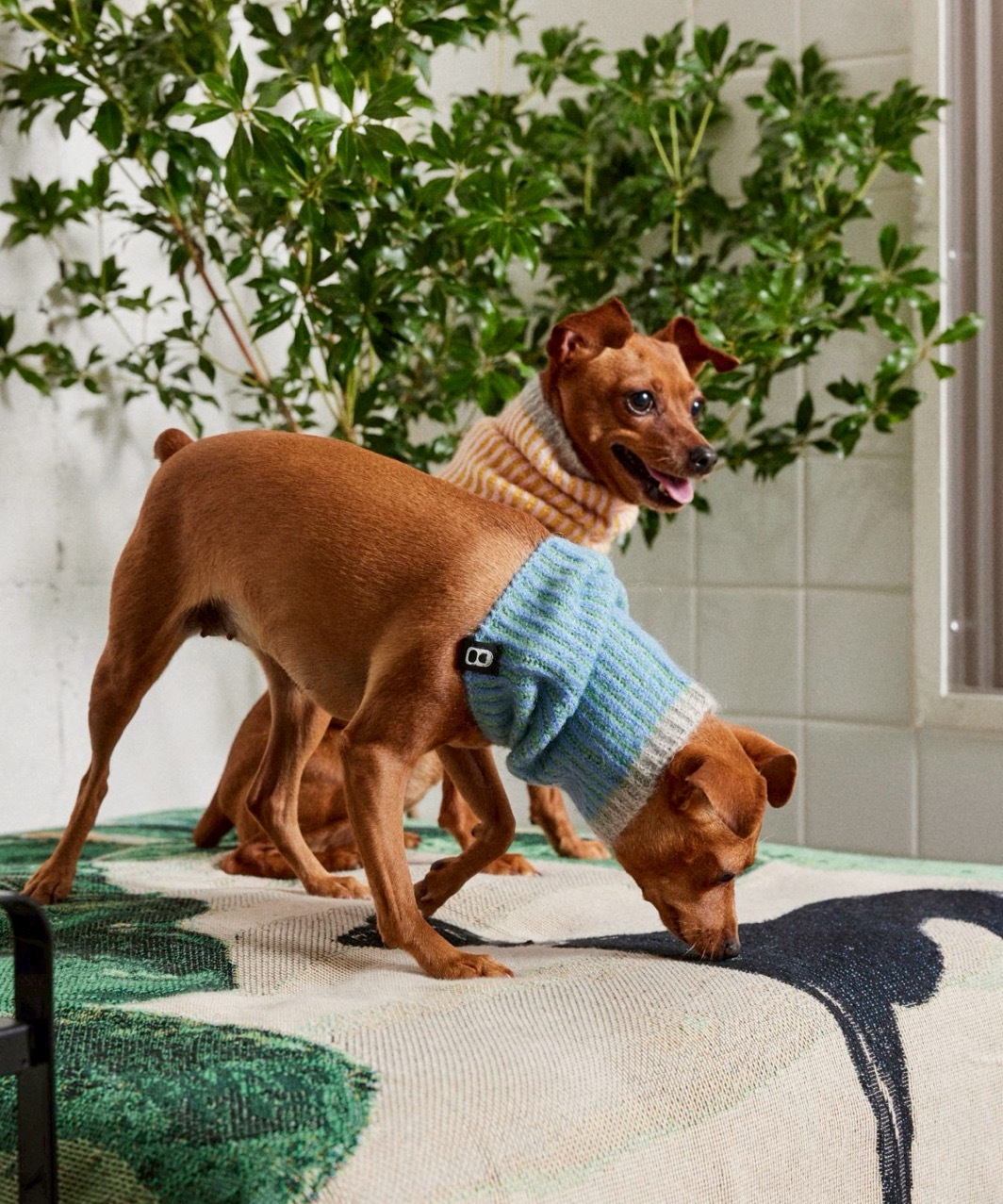 RIBLET NECK WARMER - OCEAN BLUE/MINT GREEN