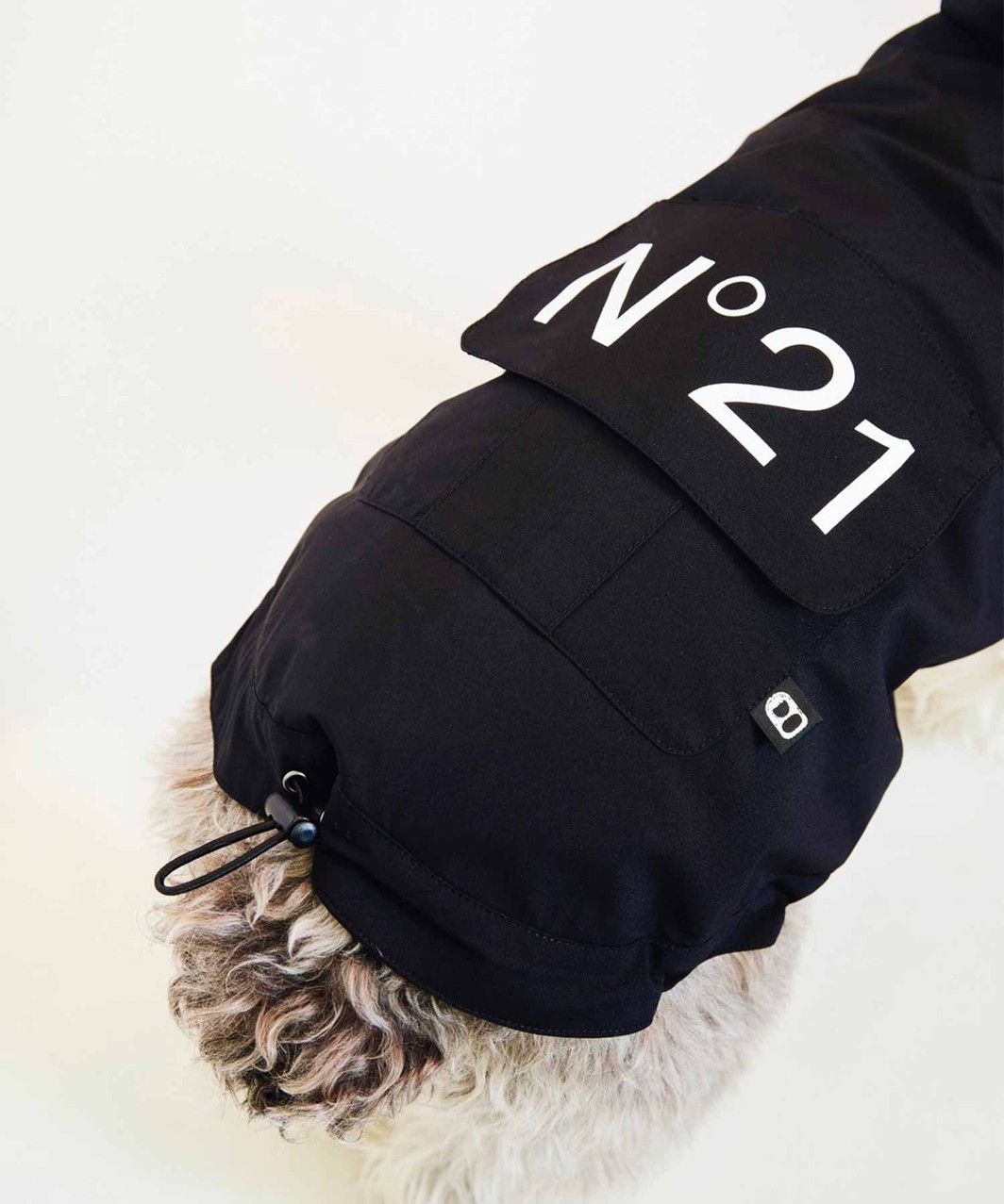 N21】 WIND BREAKER - BLACK | ALL ITEMS -おしゃれなドッグ