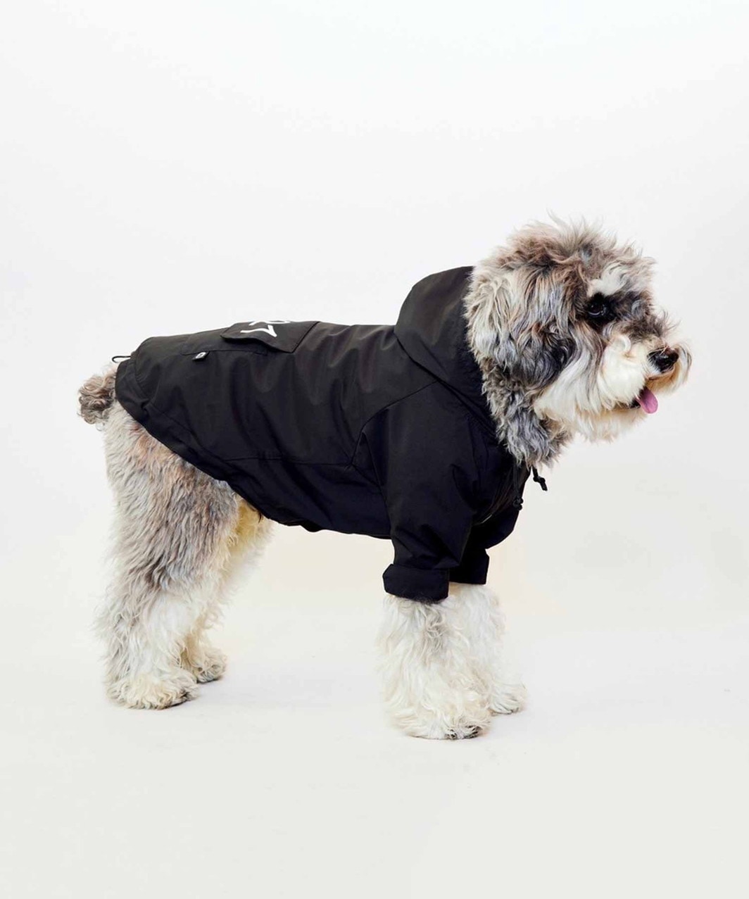 【N21】 WIND BREAKER - BLACK