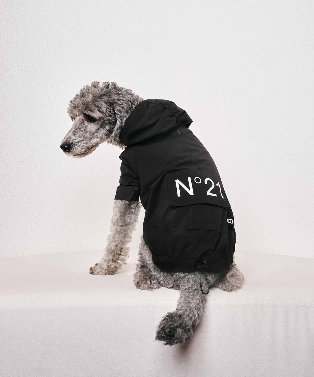 N21】 WIND BREAKER - BLACK | ALL ITEMS -おしゃれなドッグ