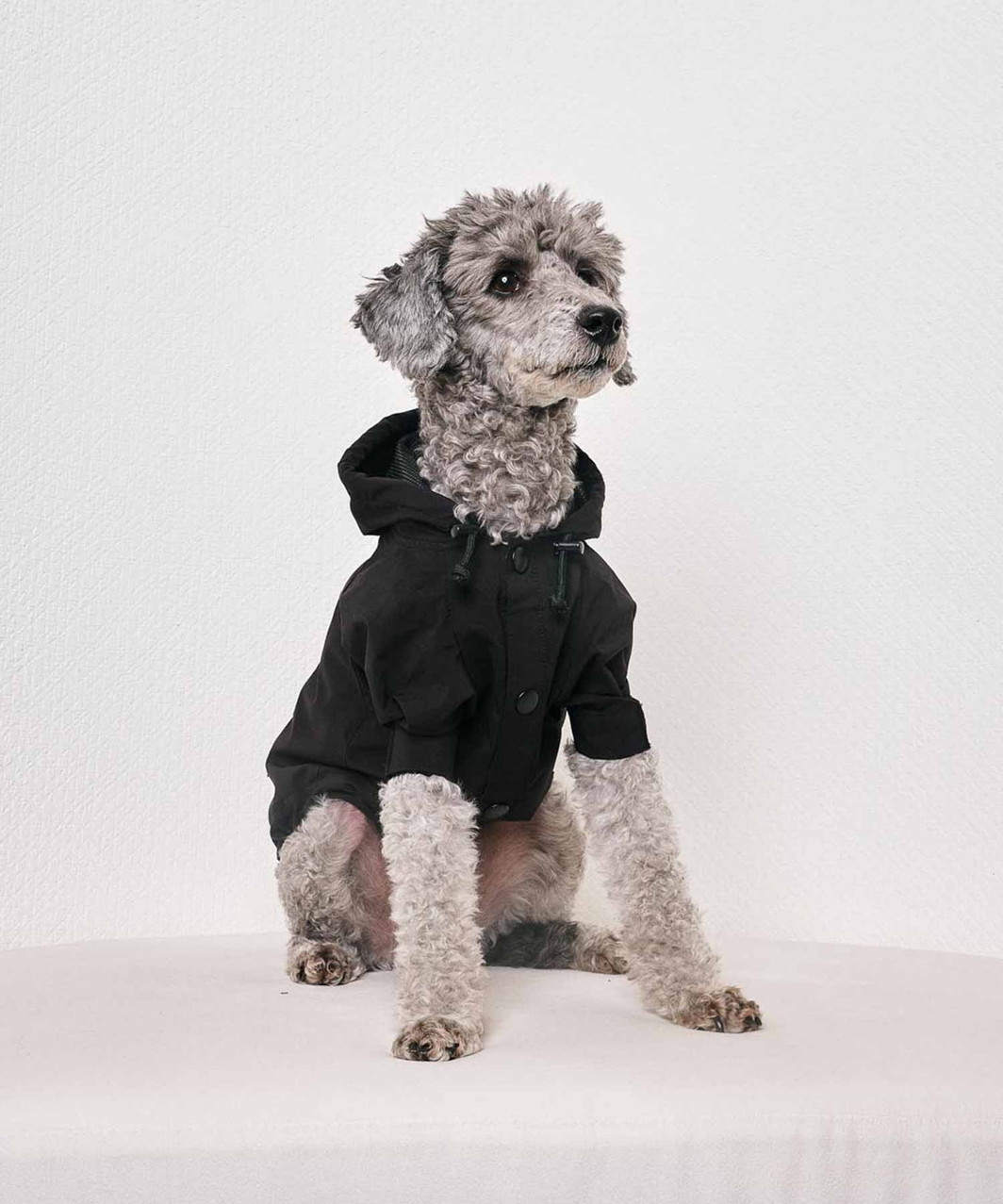 【N21】 WIND BREAKER - BLACK