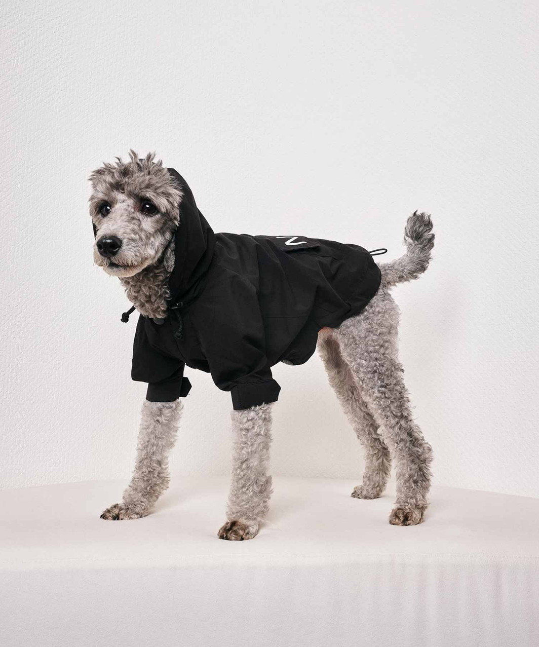 【N21】 WIND BREAKER - BLACK