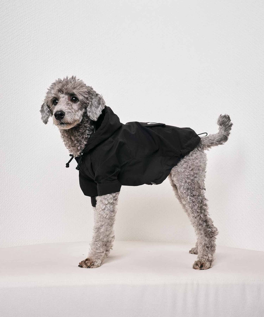【N21】 WIND BREAKER - BLACK