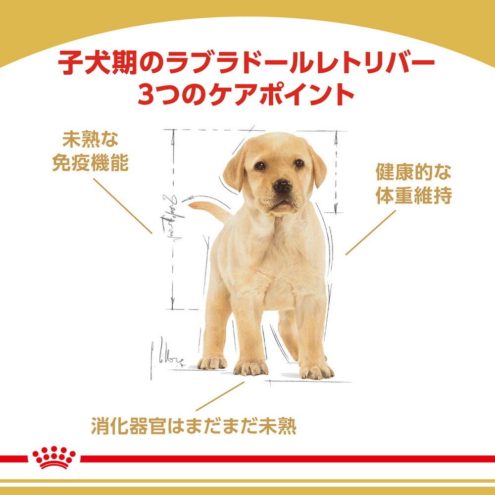 ロイヤルカナン ラブラドールレトリバー 子犬用 12kg 犬 ドッグ 正規品 ロイヤルカナン 犬 ブリードヘルスニュートリション ラブラドールレトリバー 子犬用 ぺモス 公式 Pemos 人気ペットフードペット用品