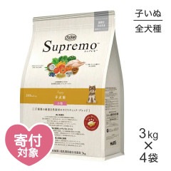 ��3kg��4�ޡۥ˥塼�ȥ� ����ץ�� �������� �Ҹ��� ��γ(�����ɥå�)[������]