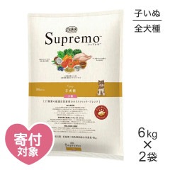 ��6kg��2�ޡۥ˥塼�ȥ� ����ץ�� �������� �Ҹ��� ��γ(�����ɥå�)[������]