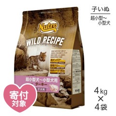 ��4kg��4�ޡۥ˥塼�ȥ� �磻��ɥ쥷�� Ķ�������������� �Ҹ��� ��������(�����ɥå�)[������]