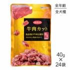 40g24ޡۥǥӥեڥå å(ɥå)