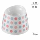 å ι⤵뿩 S  (ɥå)