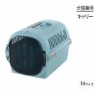 å ԥ󥰥꡼ե M ֥롼 (ǭ)