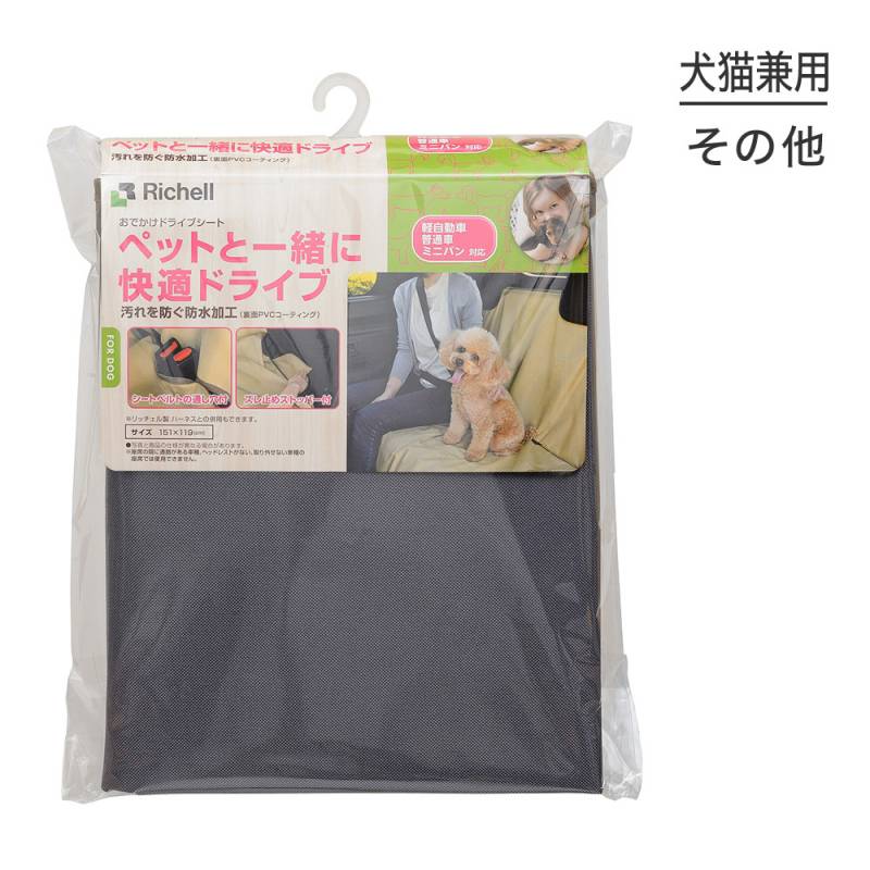 å Ǥɥ饤֥ ֥롼졼 (ǭ)