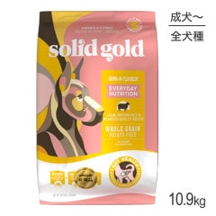 ����åɥ������ SOLIDGOLD �ե�ȥե�å��� ������Ϸ���� 10.9kg (�����ɥå�)[������]