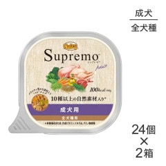 100g48ġۥ˥塼ȥ ץ   å ȥ쥤 (ɥå)[]