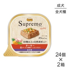 100g48ġۥ˥塼ȥ ץ     å ȥ쥤 (ɥå)[]