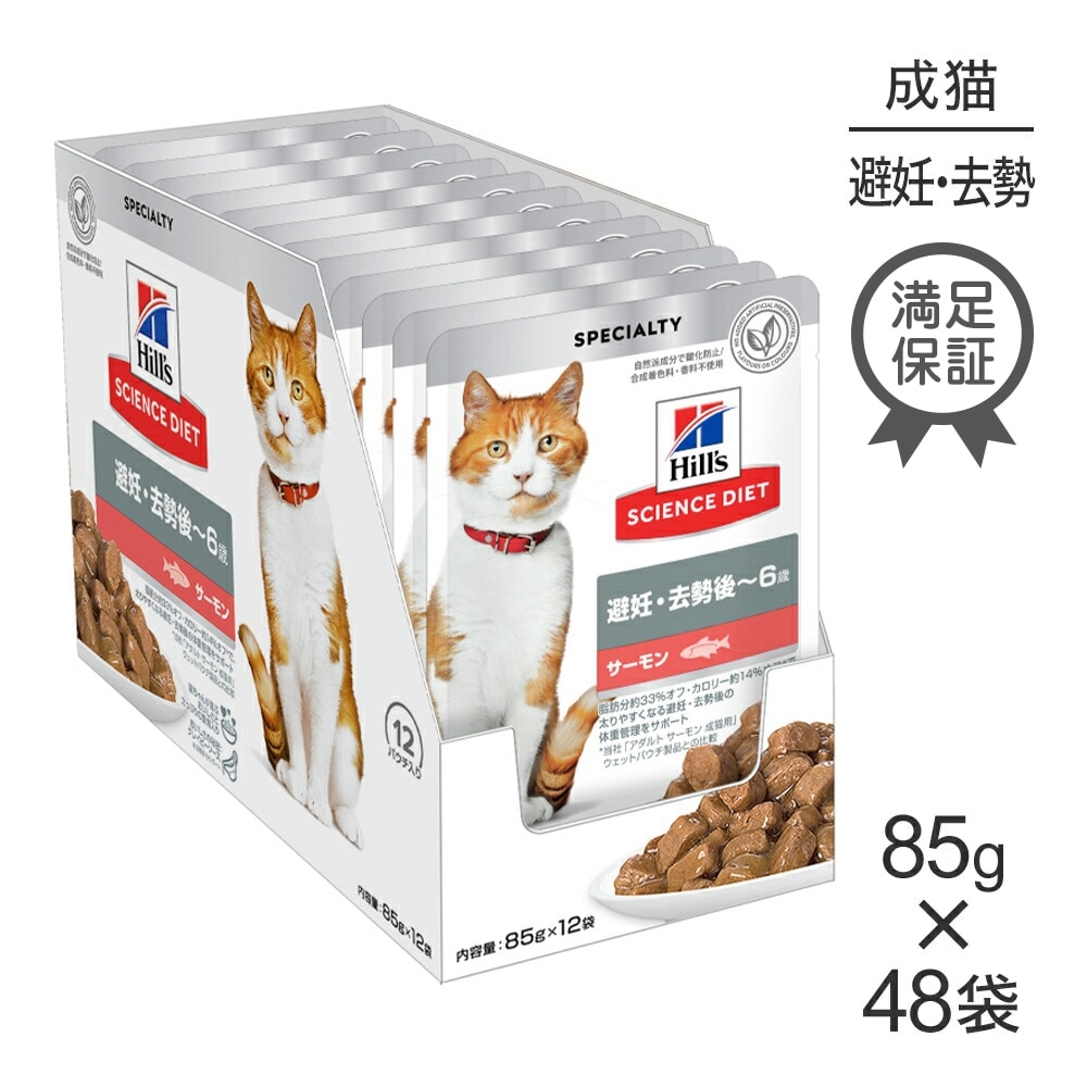 85g48ޡۥҥ륺 󥹡å å ǥ~6 ǥǭ  ѥ (ǭå)