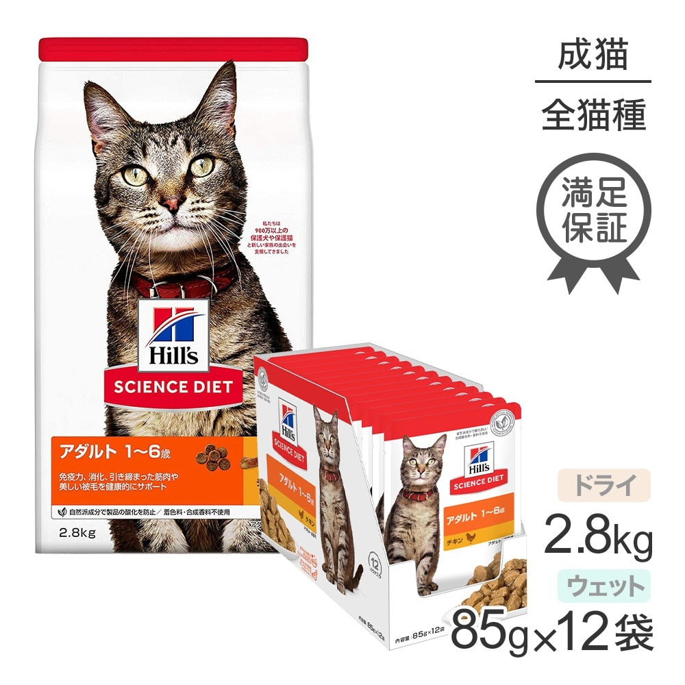 ҥ륺 󥹡å  1~6 ǭ  ɥ饤 2.8kg +  å 85g12 (ǭå)
