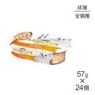 ��57g��24�ġۥͥ��� ���ץ� �ץ���奯�� ���å� ������ (ǭ������å�)[������]