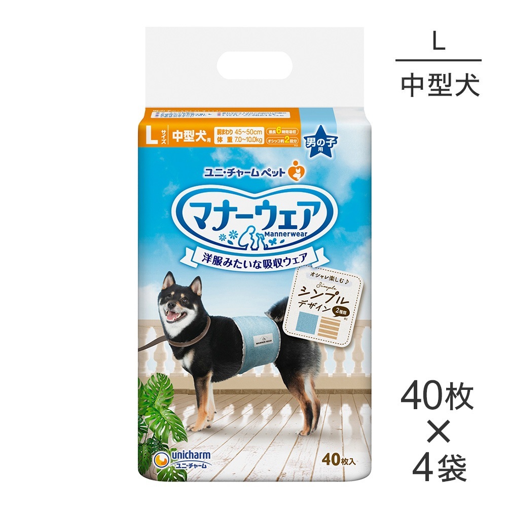 ��40���4�ޡۥ�ˡ����㡼�� �ޥʡ������� �ˤλ��� L������ �淿���� �⥫���ȥ饤�ס��饤�ȥ֥롼������ ����� (�����ɥå�)