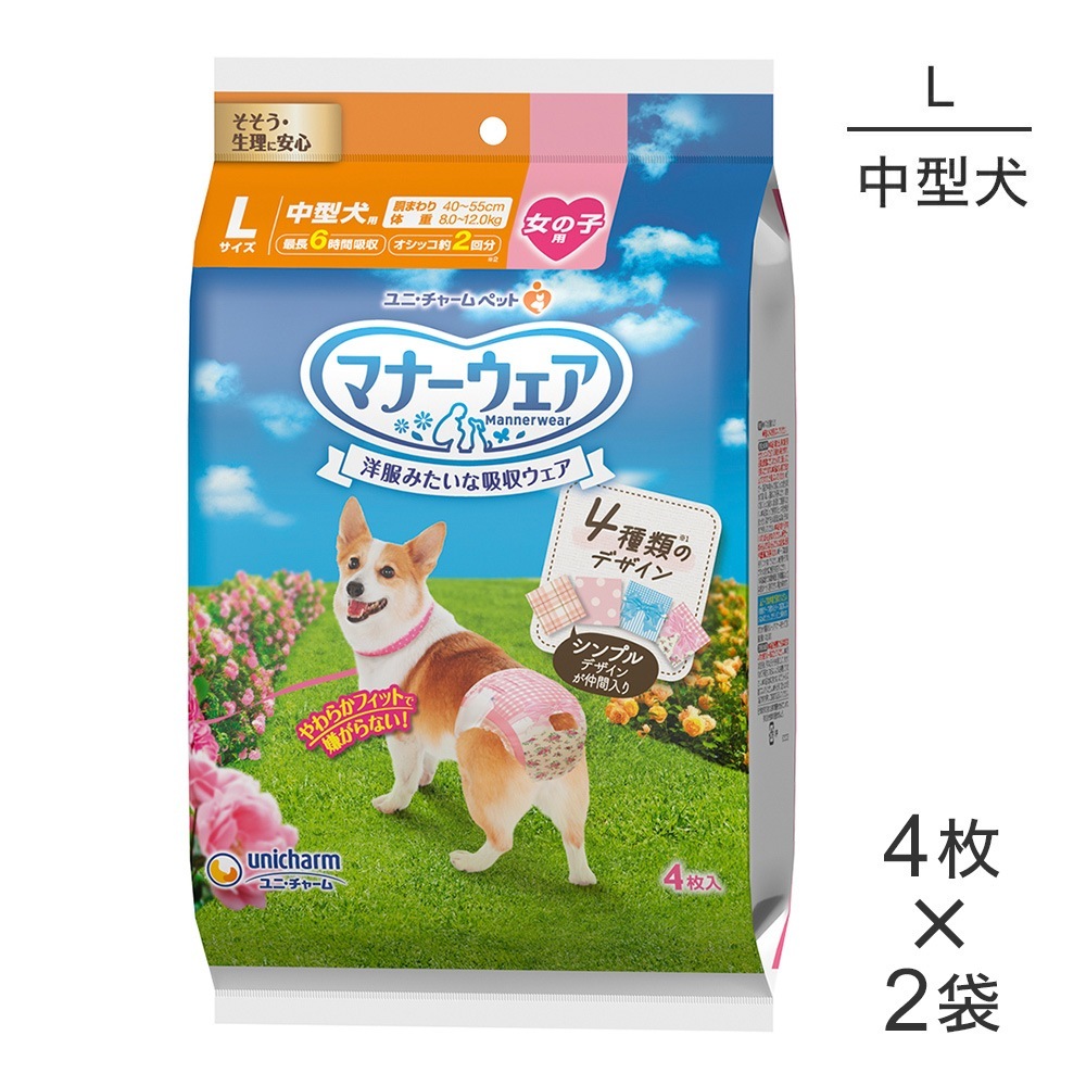 ��4���2�ޡۥ�ˡ����㡼�� �ޥʡ������� ���λ��� L������ �淿���� 4��Υǥ�����ѥå� ����� (�����ɥå�)