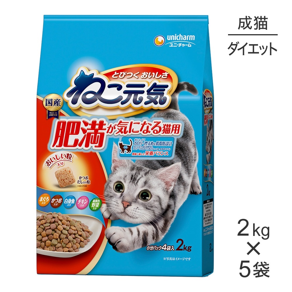 ��2.0kg��5�ޡۥ�ˡ����㡼�� �ͤ����� ���������ˤʤ�ǭ�� ��ǭ�� �ޤ��������Ĥ�����ȵ����������в���������� (ǭ������å�)