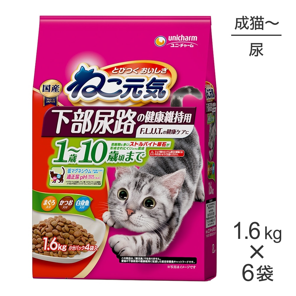 ��1.6kg��6�ޡۥ�ˡ����㡼�� �ͤ����� ����Ǣϩ�η򹯰ݻ��� 1�С�10�к��ޤ� �ޤ��������Ĥ�����ȵ����� (ǭ������å�)