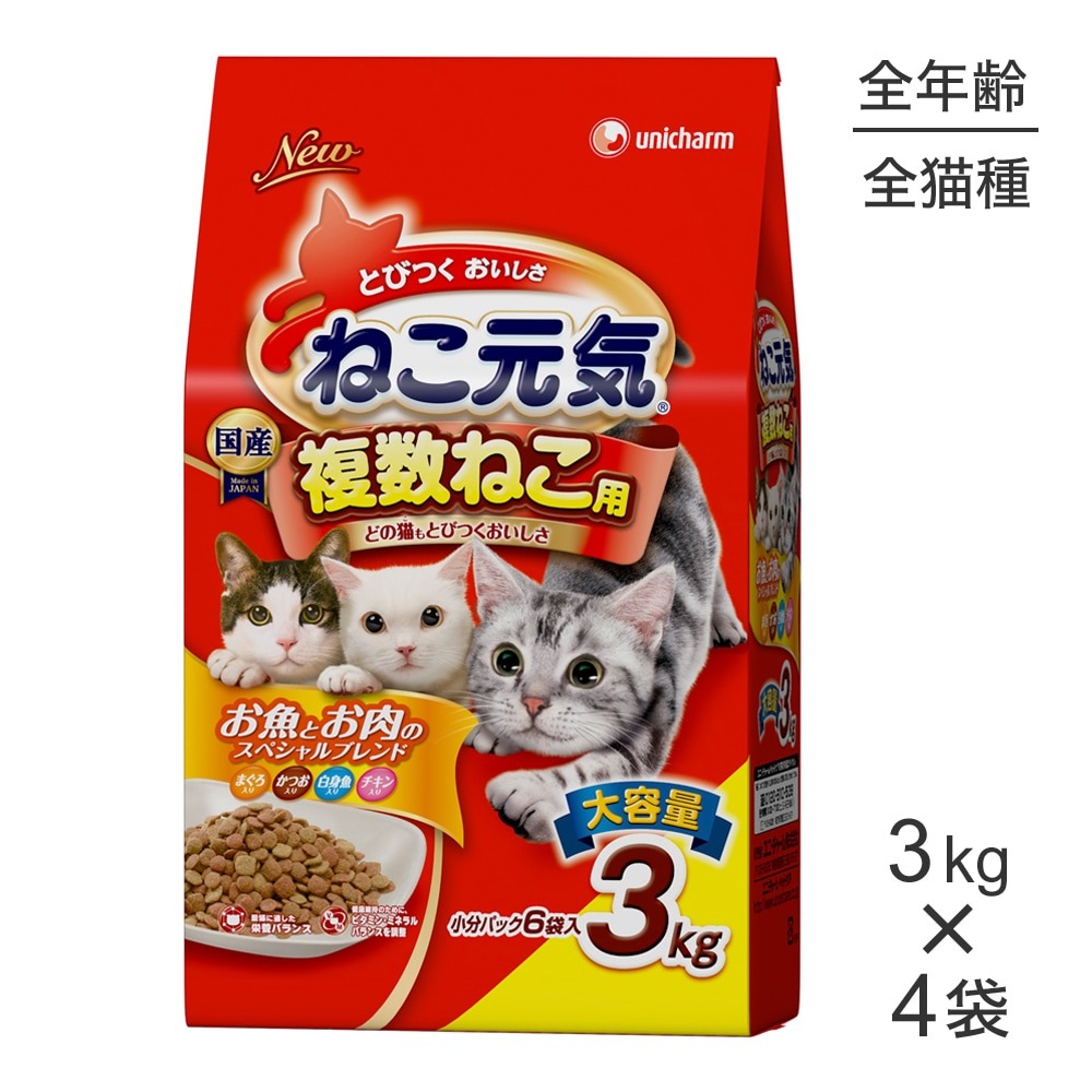 ��3.0kg��4�ޡۥ�ˡ����㡼�� �ͤ����� ʣ���ͤ��� ��ǯ���� �����Ȥ����Υ��ڥ����֥��� �ޤ��������Ĥ�����ȵ������������� (ǭ������å�)