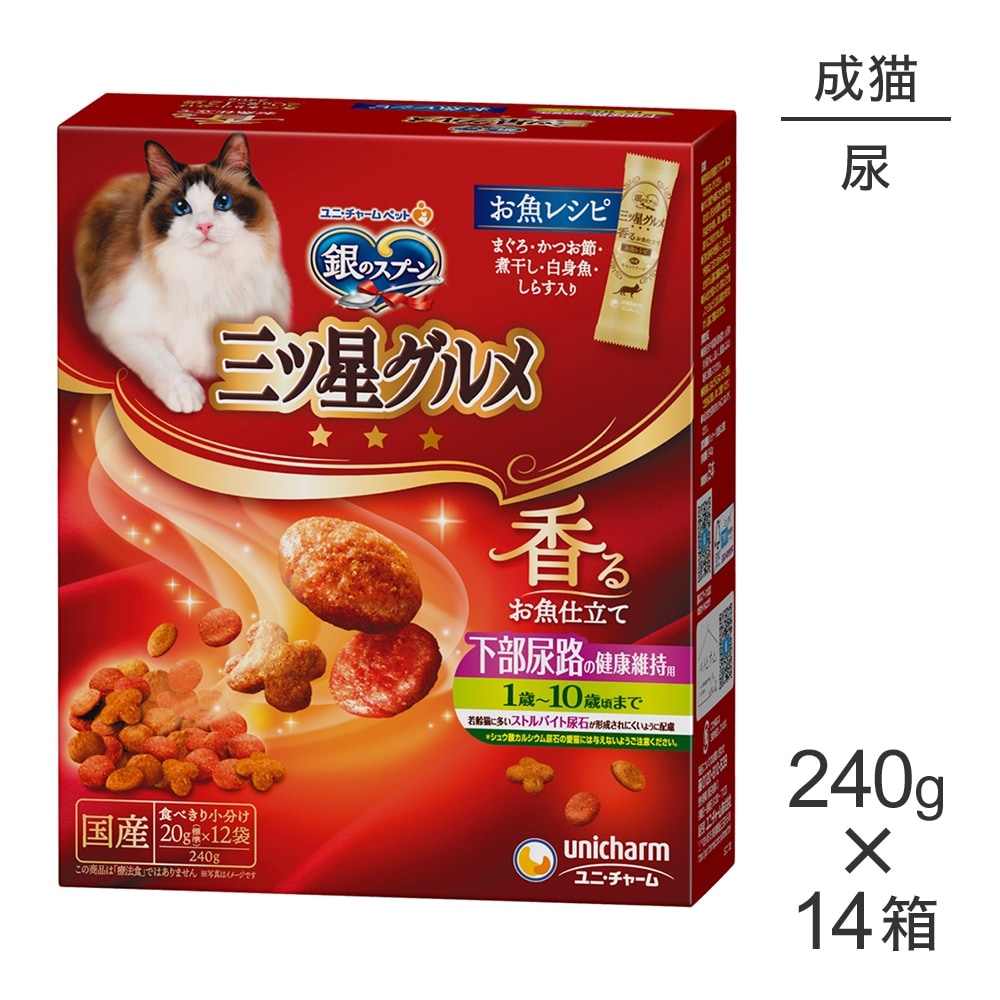 ��240g��14Ȣ�ۥ�ˡ����㡼�� ��Υ��ס��� ����������� ��뤪����Ω�� ����Ǣϩ�η򹯰ݻ��� 1�С�10�к��ޤ� �����쥷�� (ǭ������å�)