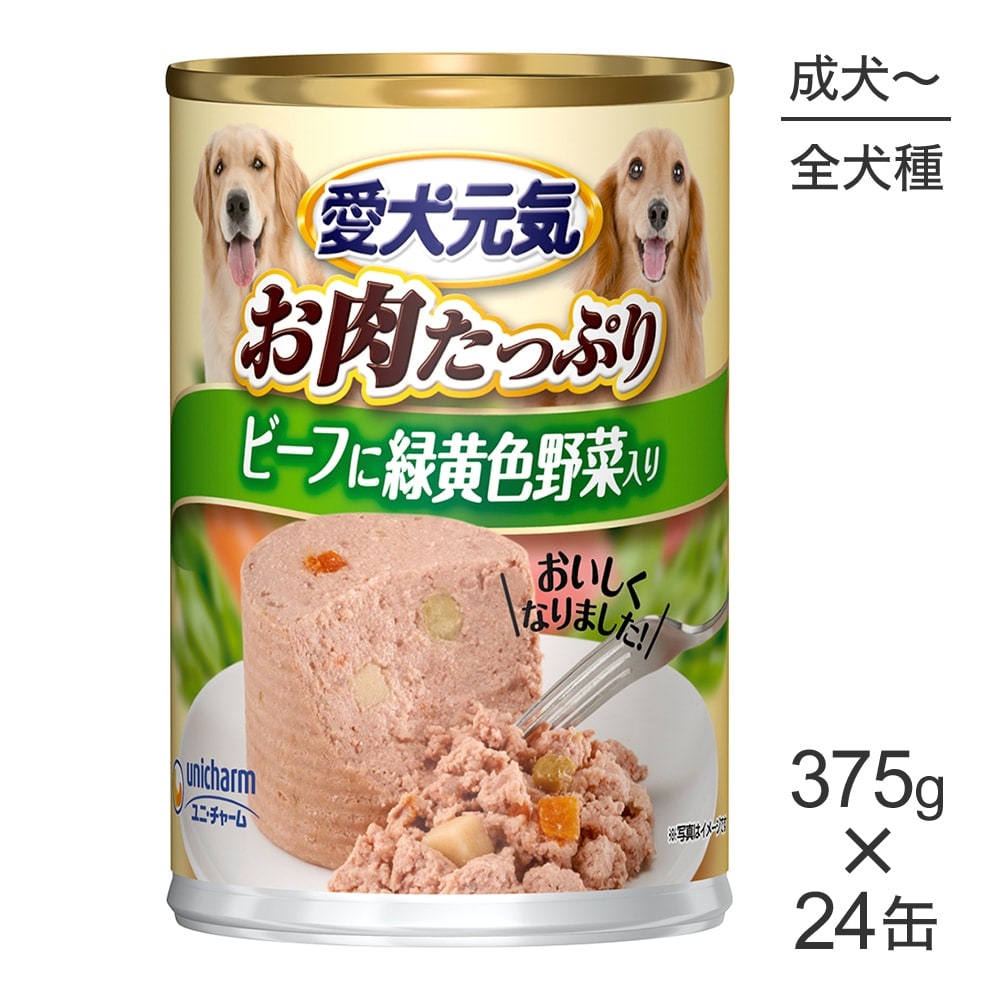 375g24̡ۥˡ㡼   1Фǯ ӡդв å (ɥå)