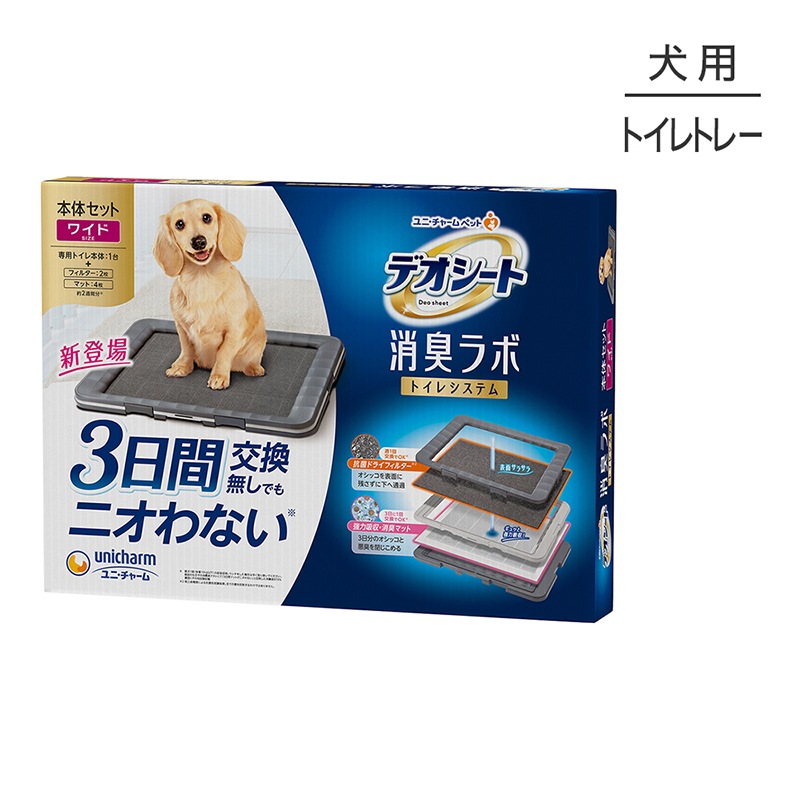 ˡ㡼 ǥ ý ȥ쥷ƥ Υå 磻 (ɥå)