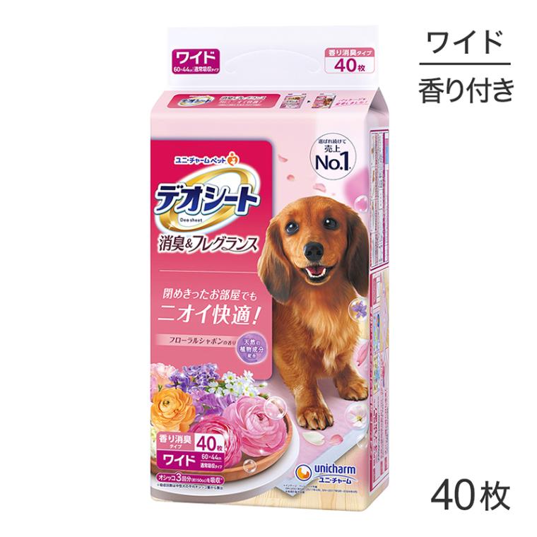 ˡ㡼 ǥ ý&ե쥰 ե륷ܥι 磻 ڥåȥ 40 (ɥå)