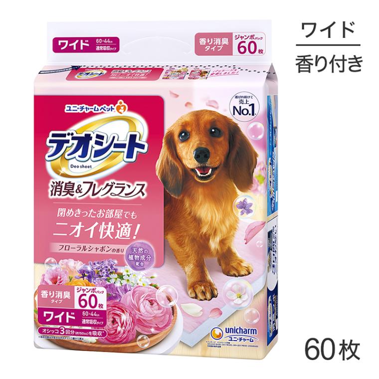 ˡ㡼 ǥ ý&ե쥰 ե륷ܥι 磻 ڥåȥ 60 (ɥå)