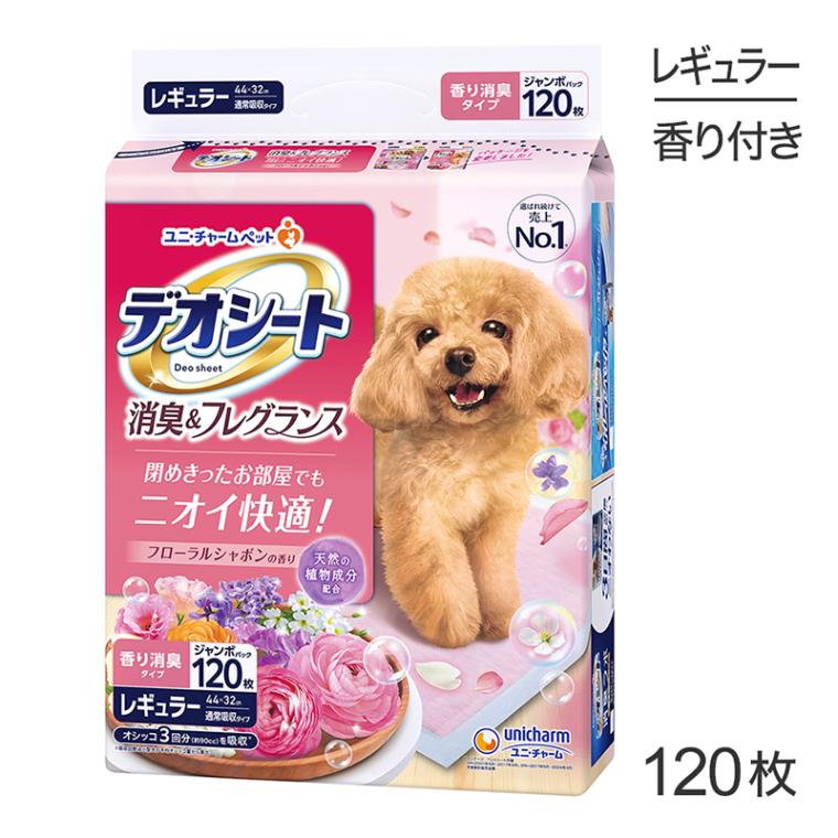 ˡ㡼 ǥ ý&ե쥰 ե륷ܥι 쥮顼 ڥåȥ 120 (ɥå)