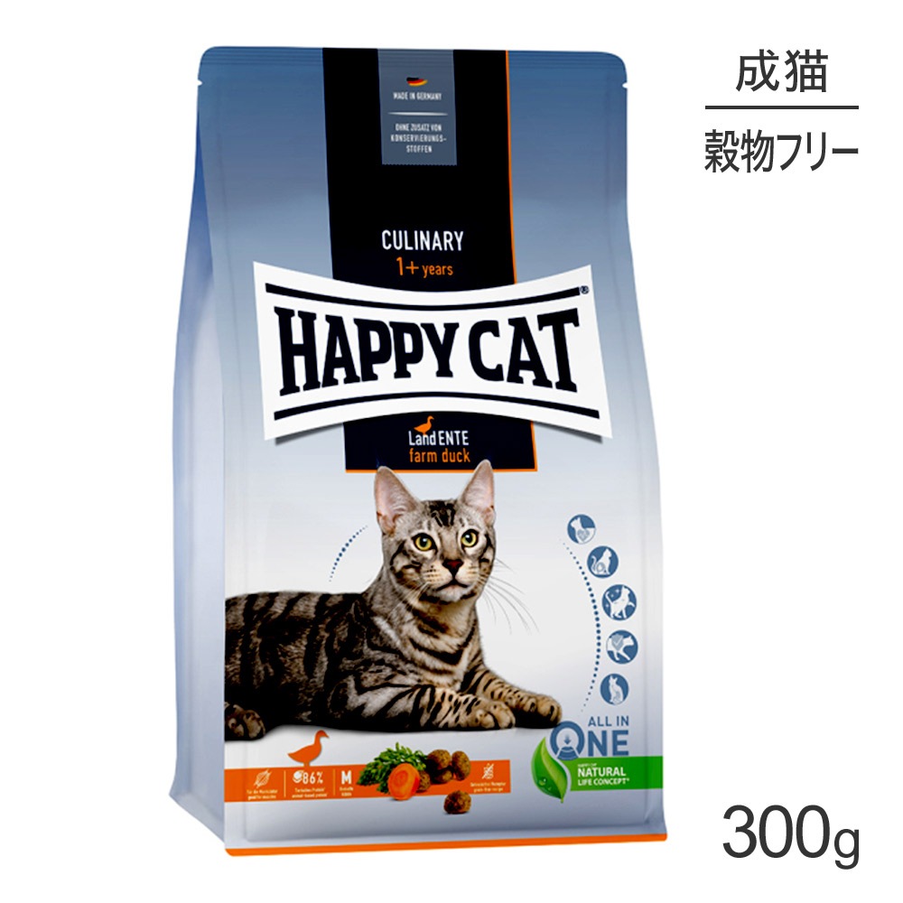 ھ̣2025ǯ1025HAPPY CAT ʥ꡼ եå 륮 ǭ 300g (ǭå) []