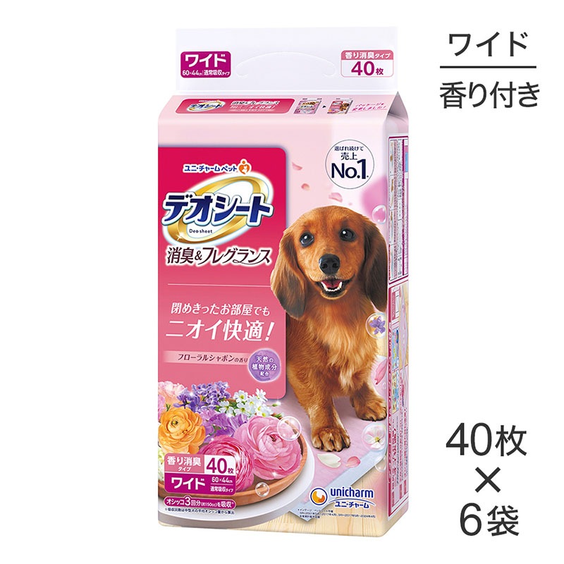 406ޡۥˡ㡼 ǥ ý&ե쥰 ե륷ܥι 磻 ڥåȥ (ɥå)