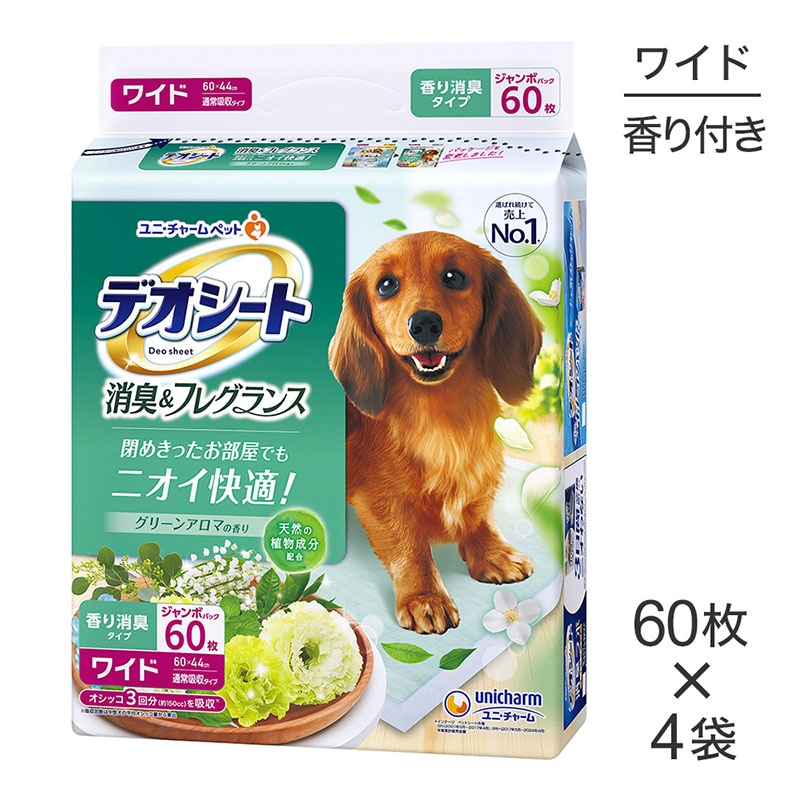 604ޡۥˡ㡼 ǥ ý&ե쥰 ꡼󥢥ޤι 磻 ڥåȥ (ɥå)