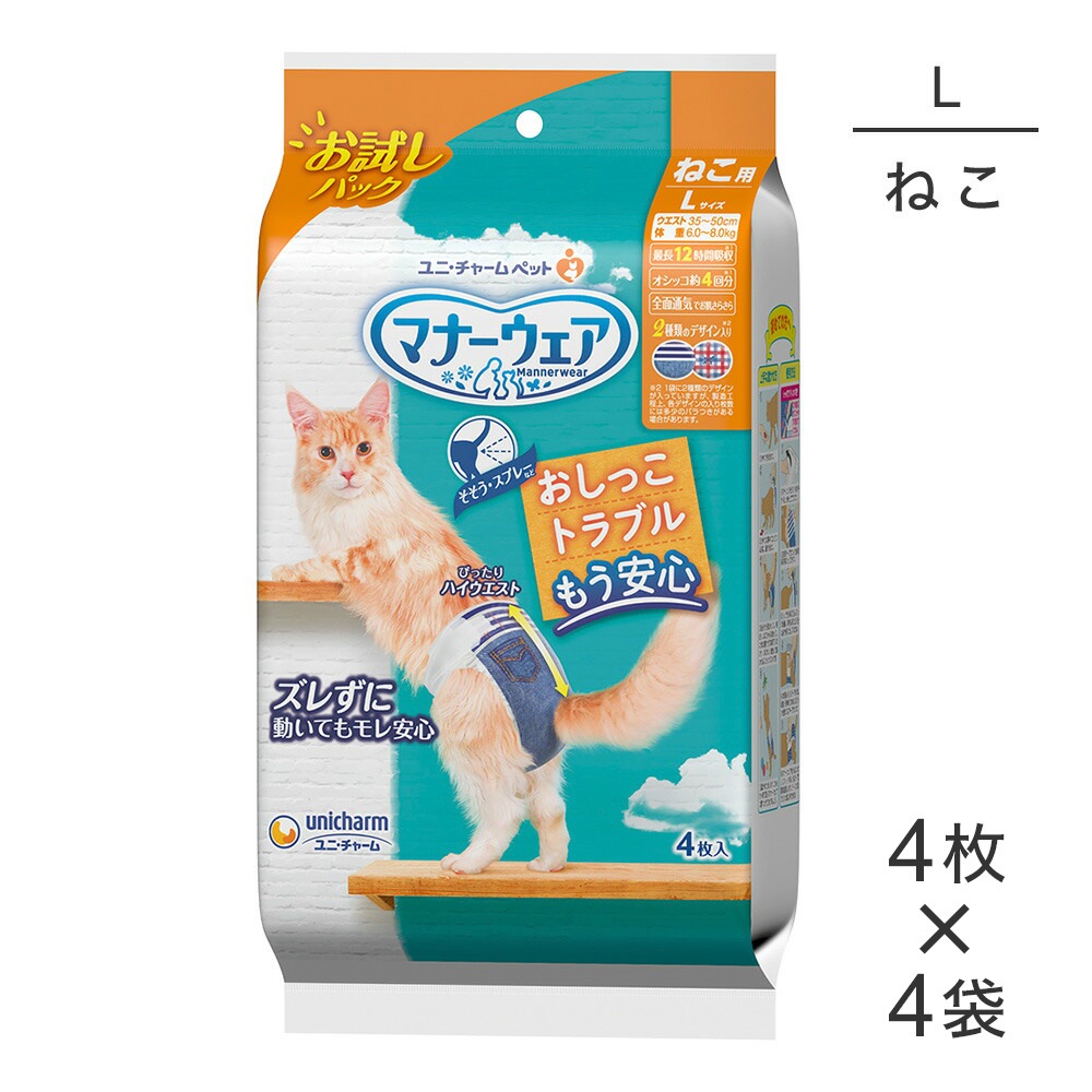 ��4���4�ޡۥ�ˡ����㡼�� �ޥʡ������� �ͤ��� L������ ����ѥå������ (ǭ������å�)