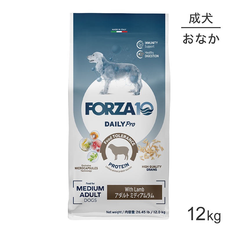 եĥ10 Forza10 Daily Pro ȥߥǥ  ȱ֤η򹯰ݻŬʾò  γ 12kg (ɥå)[]