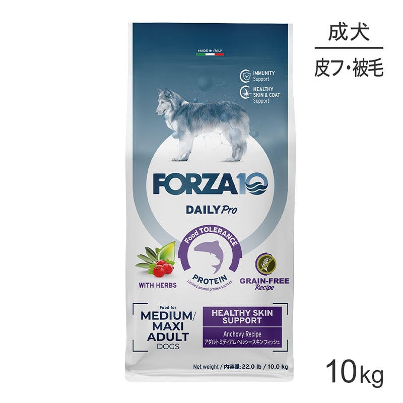 եĥ10 Forza10 Daily Pro ȥߥǥ إ륷 եå ȱ֤η򹯰ݻ&ȥ  γ 10kg(ɥå)[]