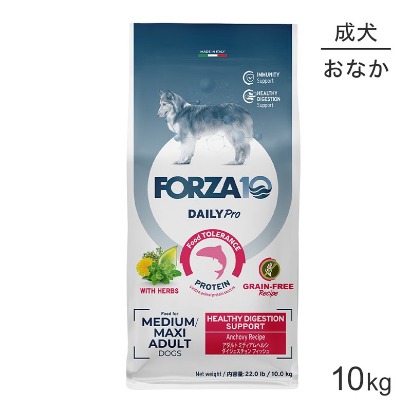 եĥ10 Forza10 Daily Pro ȥߥǥ إ륷 ȱ֤η򹯰ݻĲٶѤΥХ  γ 10kg (ɥå)[]