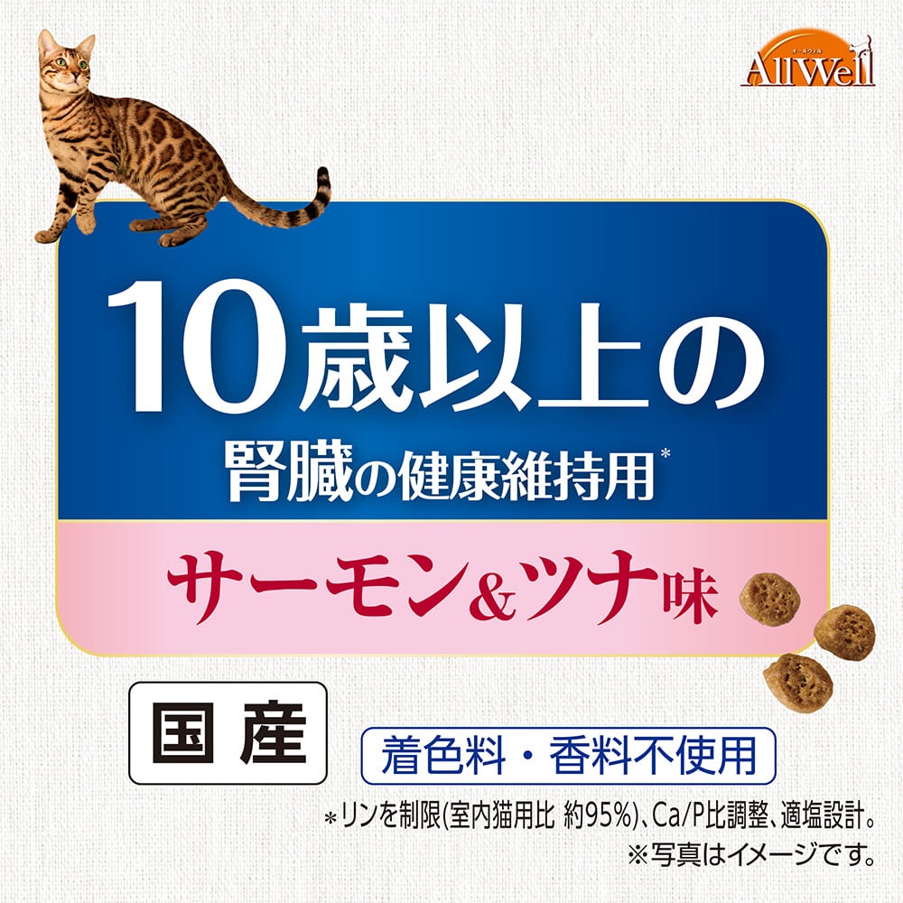 ��ˡ����㡼�� AllWell 10��μ����Ǻ� 10�аʾ�ο�¡�η򹯰ݻ��� ���������ĥ�̣ 1.2kg (300g��4��) (ǭ������å�)