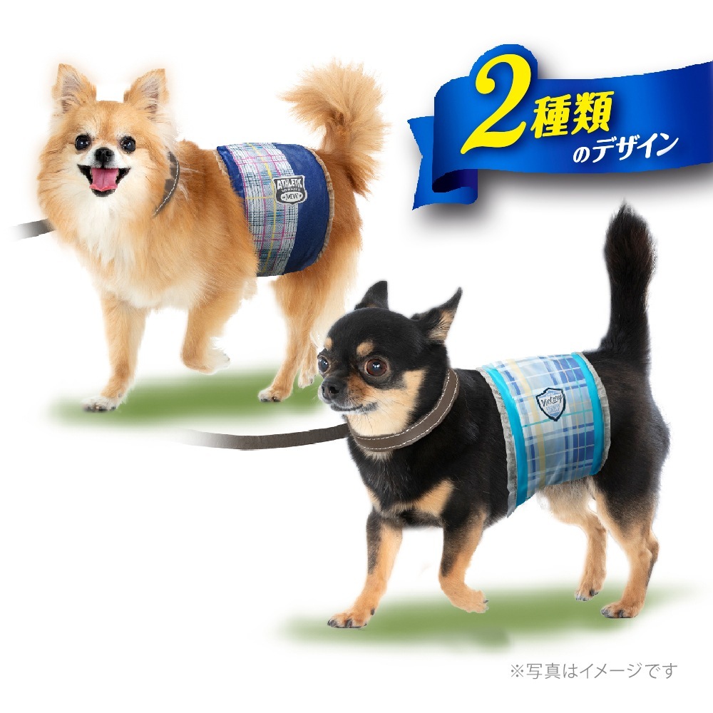 ��52���4�ޡۥ�ˡ����㡼�� �ޥʡ������� �ˤλ��� SSS������ Ķ�������� �ĥ����å����������å� ����� (�����ɥå�)