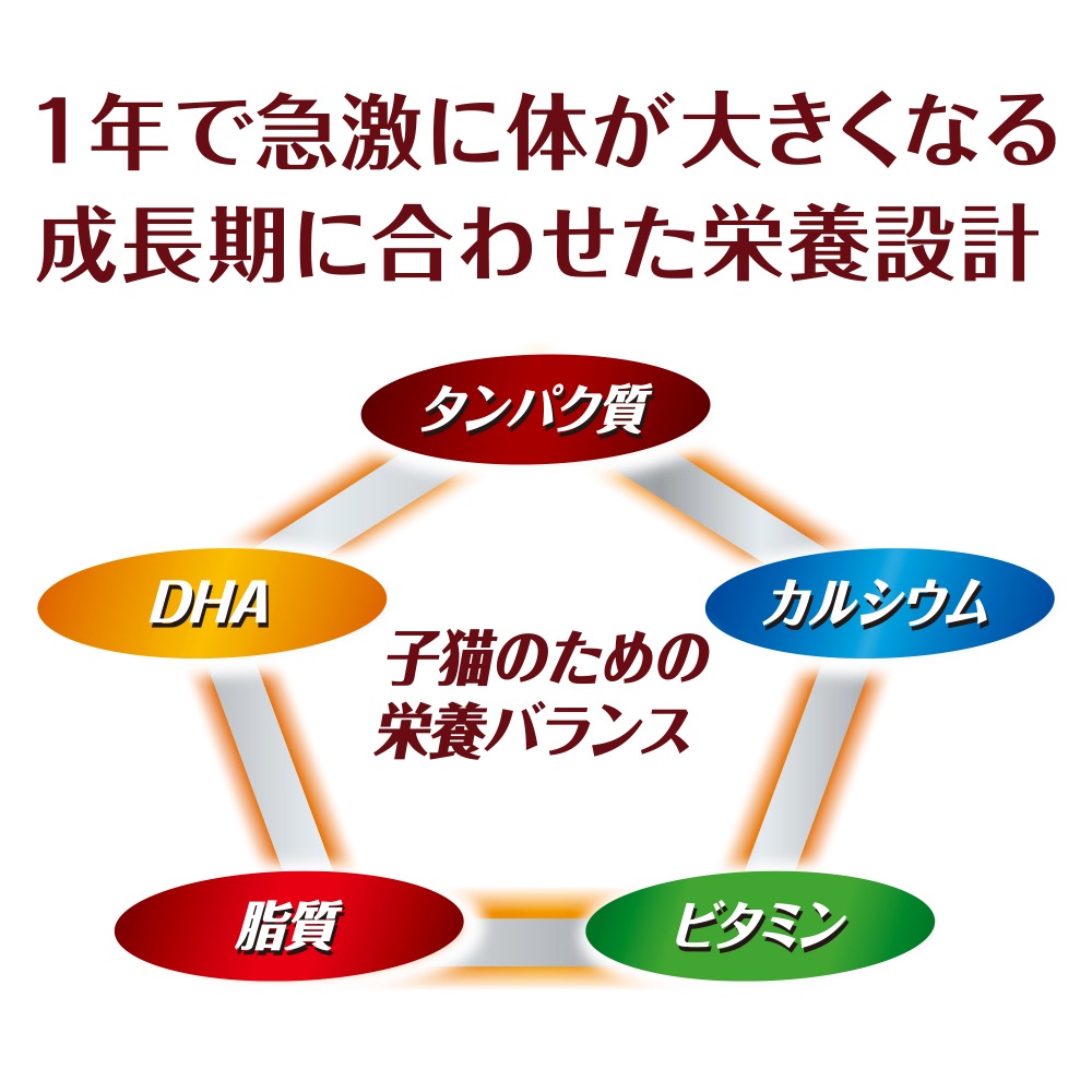 ��1.6kg��2�ޡۥ�ˡ����㡼�� AllWell �򹯤˰�Ļ�ǭ�� �ե��å���̣ �Ԥ������Ȥ����ߥե꡼���ɥ饤�ѥ��������� (ǭ������å�)