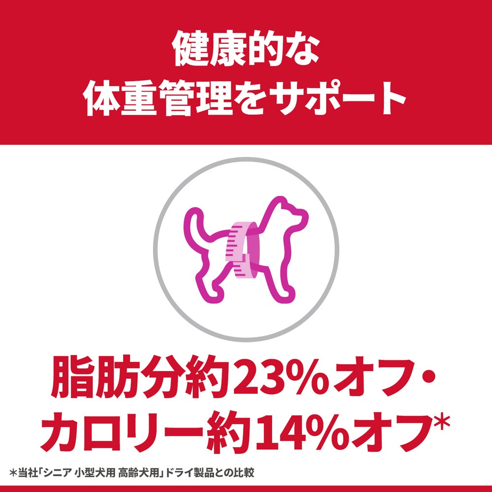 ��3kg��4�ޡۥҥ륺 �������󥹡��������å� �������� ���˥� �饤�� 7�аʾ� ���������ι����� ������ �����Хå����ޤ��� (�����ɥå�)