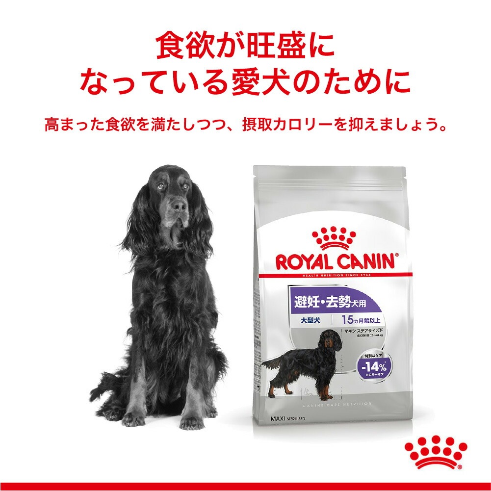 12kg×2袋】ロイヤルカナン マキシ ステアライズド (犬・ドッグ) [正規 12kg×2袋】ロイヤルカナン マキシ ステアライズド (犬・ドッグ) [正規