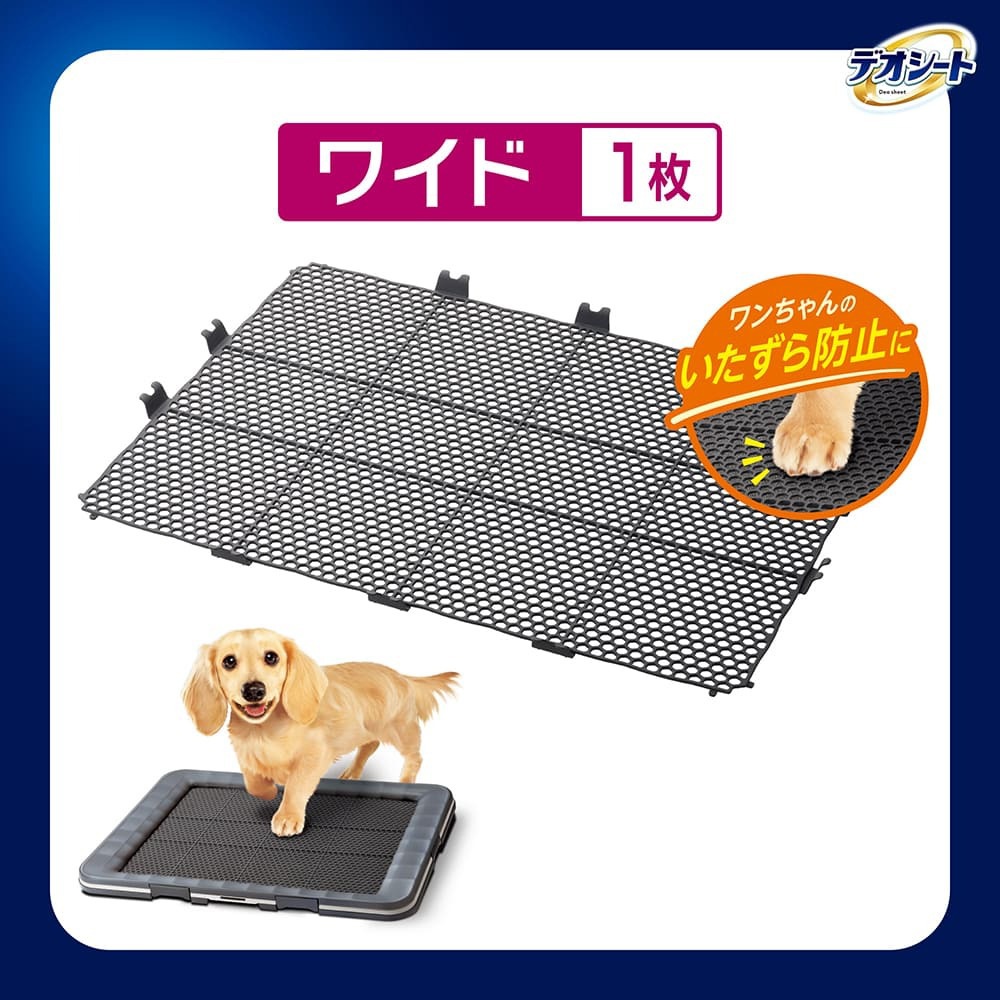 ˡ㡼 ǥ ý ȥ쥷ƥ ѥå奬 磻 1 (ɥå)