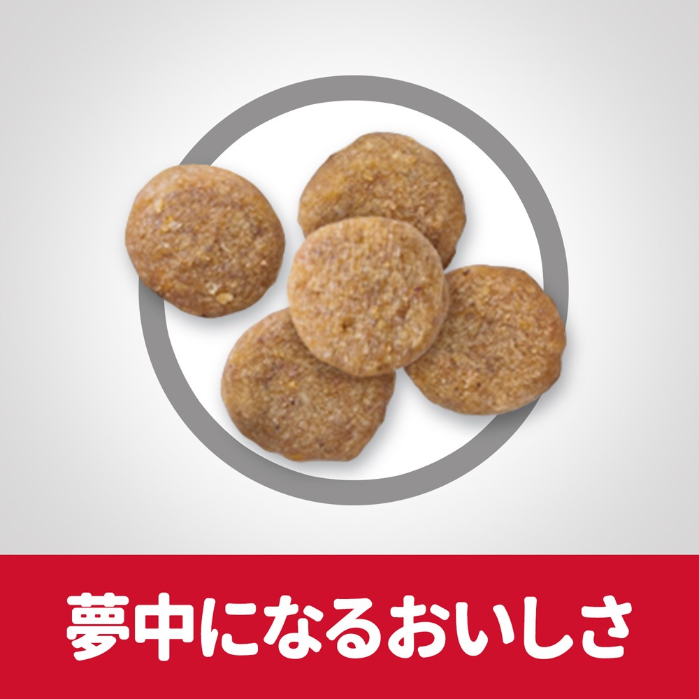 2.8kg2ޡۥҥ륺 󥹡å ˥ 7аʾ ǭ  (ǭå)