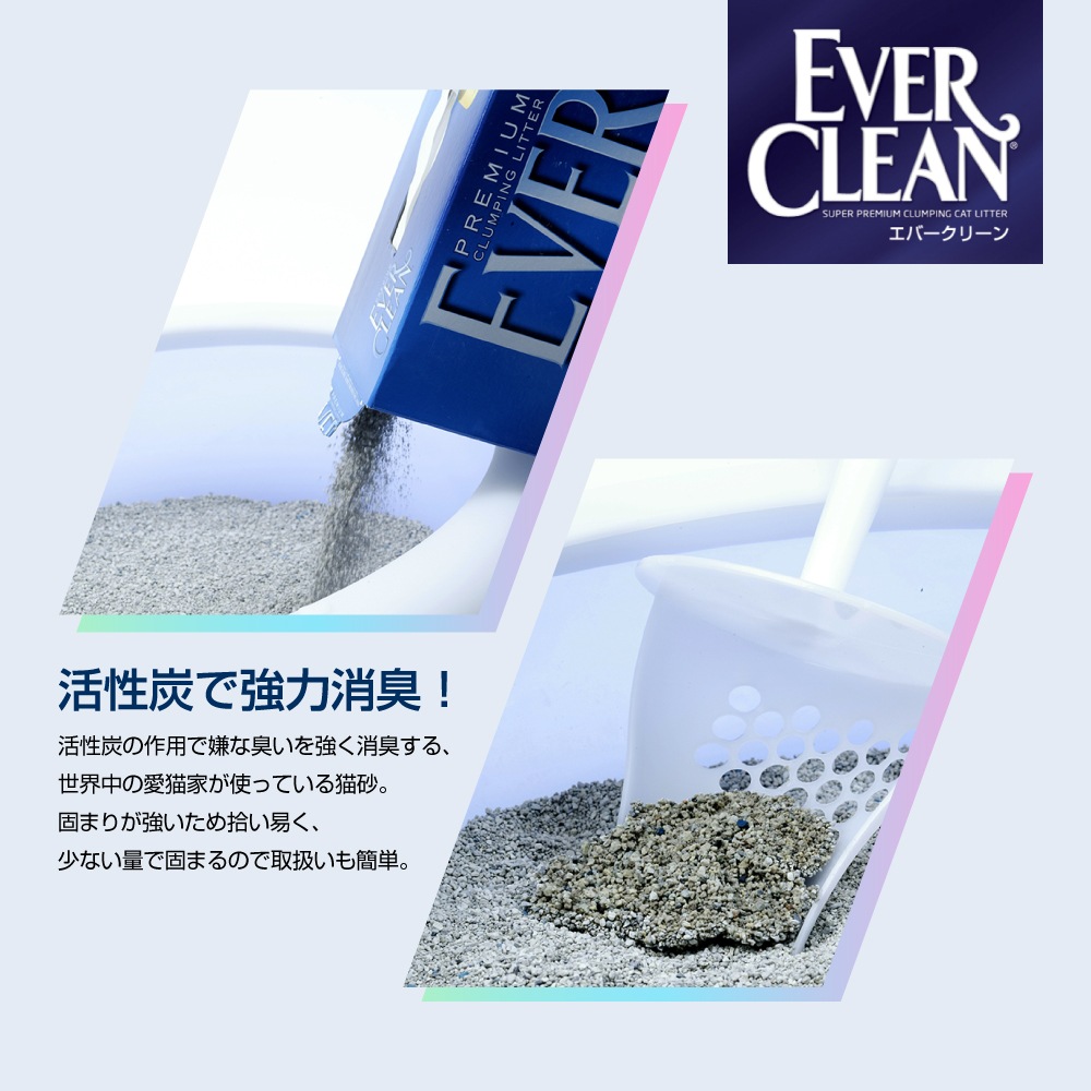 ��6L��3Ȣ�ۥ��С����꡼�� EVER CLEAN ˧�᥿���� ǭ�� (ǭ������å�)