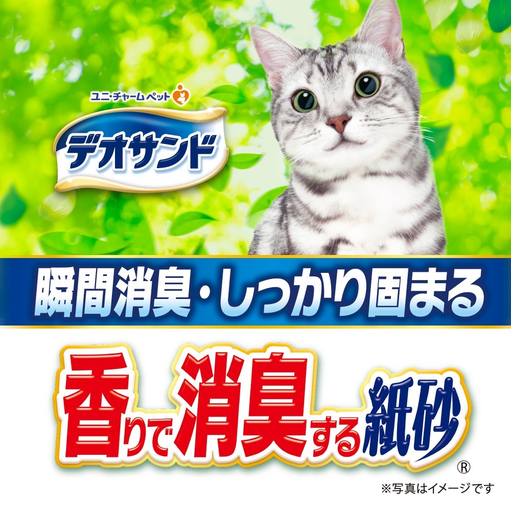 5L6ޡۥˡ㡼 ǥ Ǿý溽 ʥ륰꡼ι ǭ (ǭå)