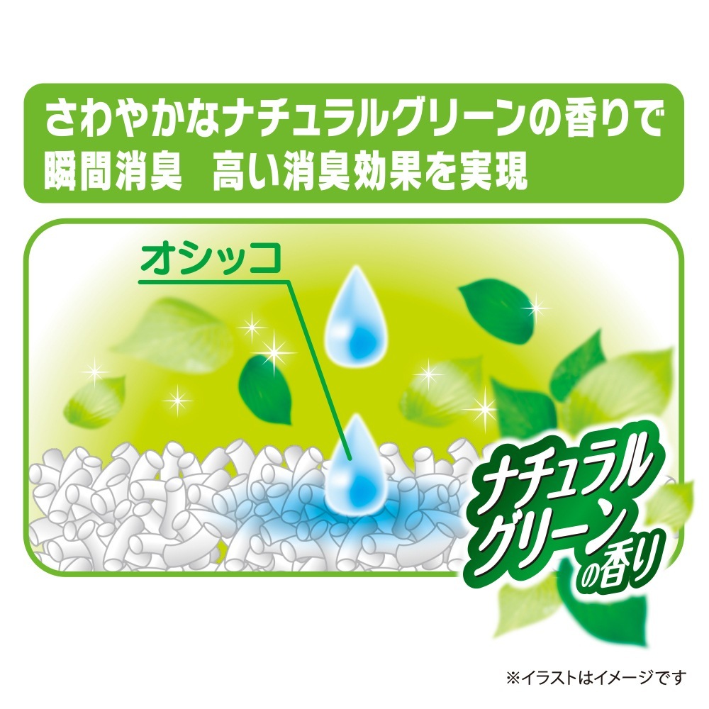 5L6ޡۥˡ㡼 ǥ Ǿý溽 ʥ륰꡼ι ǭ (ǭå)