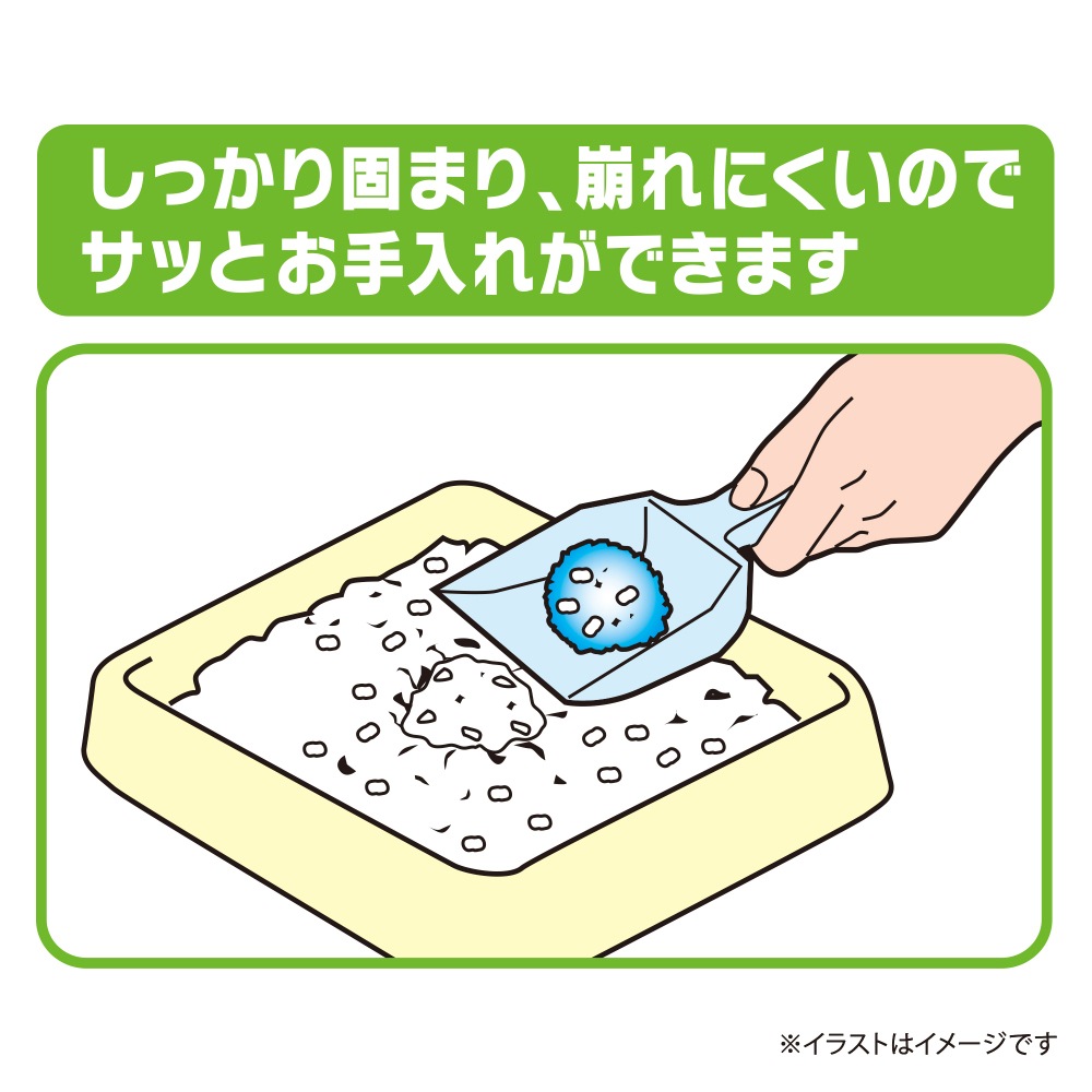 5L6ޡۥˡ㡼 ǥ Ǿý溽 ʥ륰꡼ι ǭ (ǭå)